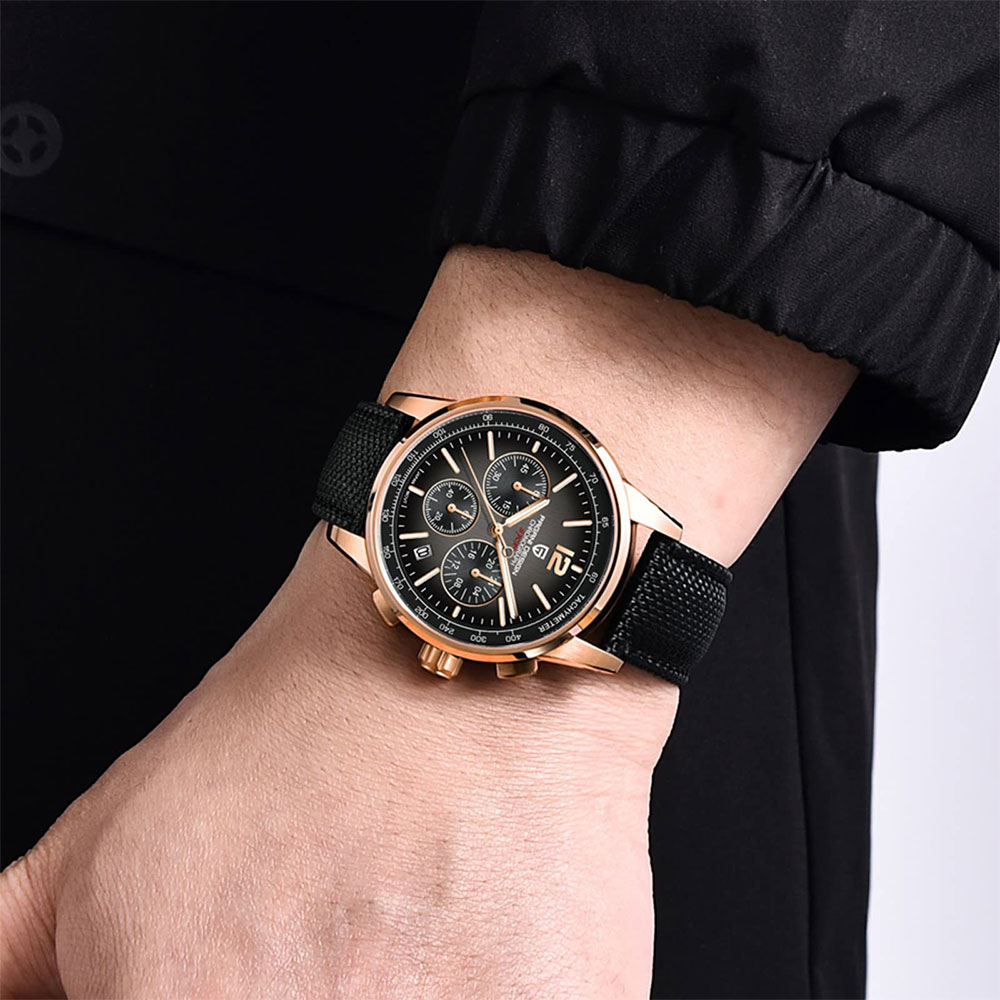PAGANI DESIGN New Mens Watch 4 - đánh giá và giá Luxury Watch Logo
