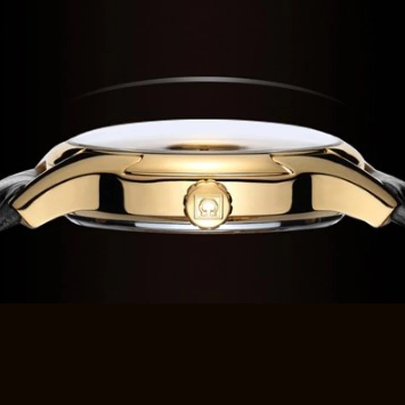 Carnival Brand Luxury Watches  - đánh giá và giá Luxury Watch Winder